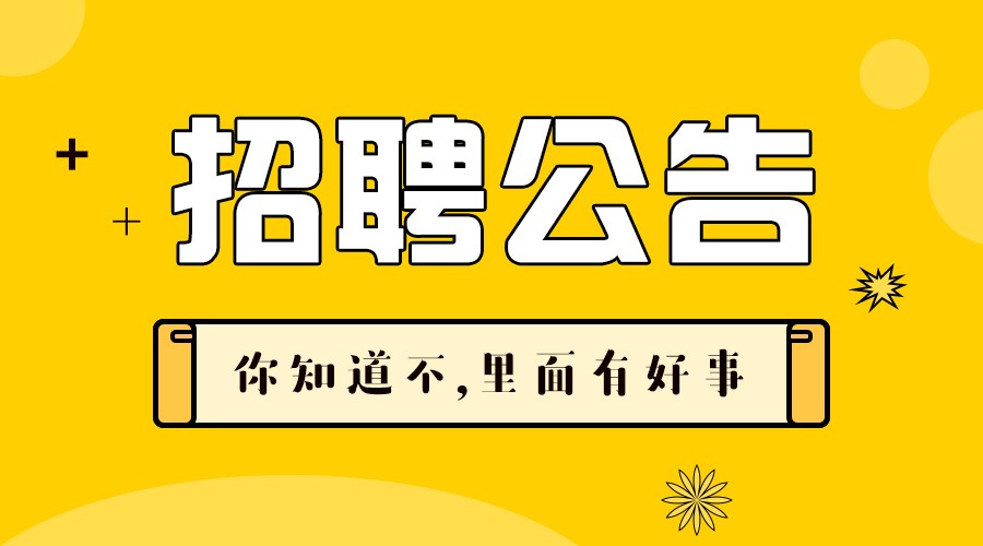 沙河招聘网最新招聘动态深度解读与分析