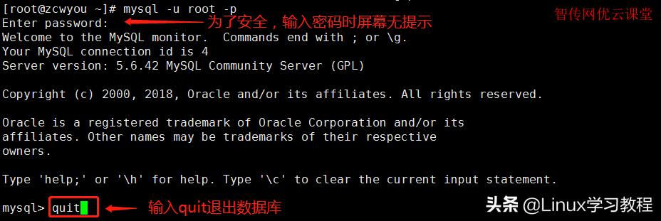 CentOS最新版特性探索与技术优势揭秘