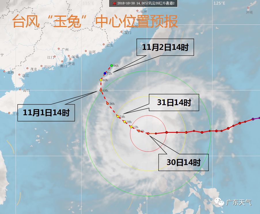 全球气候变化观察与应对，最新风台消息揭示影响与应对策略