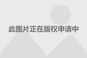 职工探亲假最新规定详解与应用指南