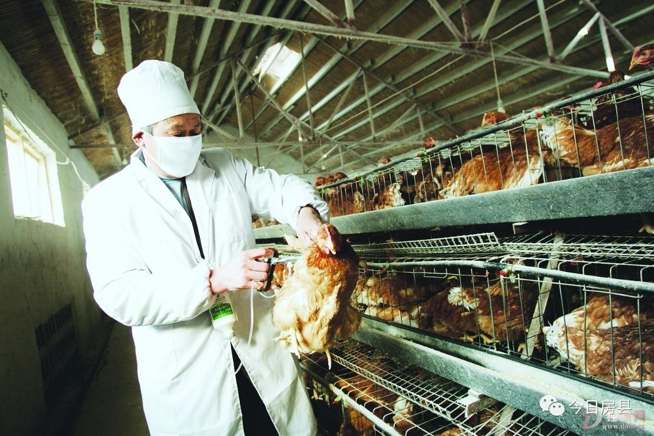 H7N9最新疫情深度剖析