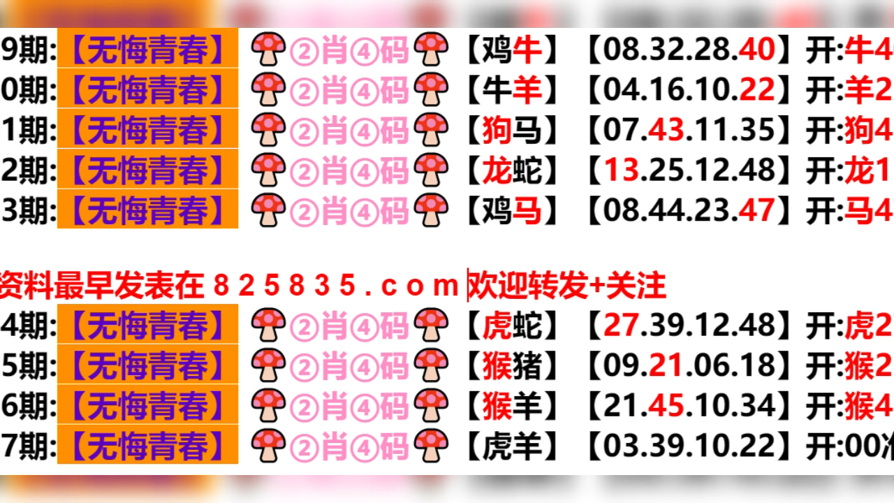 奥门六开奖号码2024年开奖,动态词语解释落实_入门版38.513