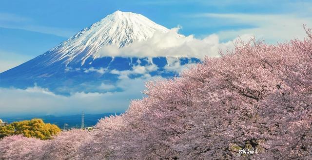 富士山火山最新状况及监测分析，影响与应对策略