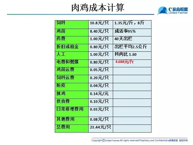 澳门三肖三码三期凤凰,国产化作答解释落实_黄金版53.238