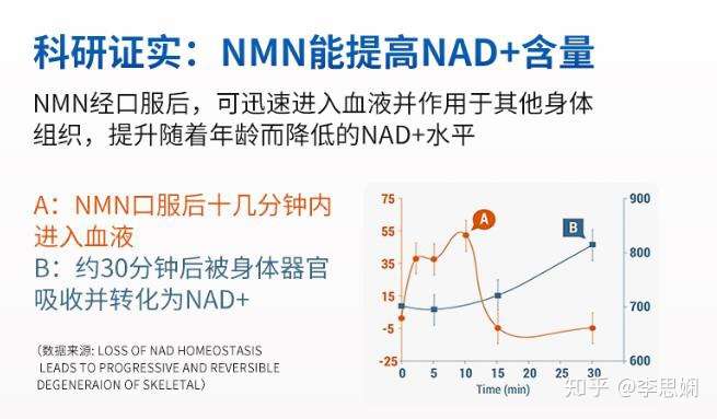 NMN最新动态，科技前沿热点与未来展望